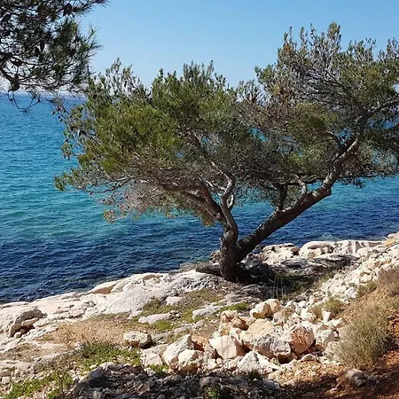 Camp Maslina 3* Pakostane