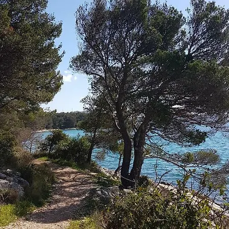 Campsite Camp Maslina