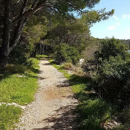 Camp Maslina Campsite Pakostane