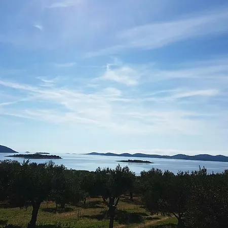 Camp Maslina Pakoštane