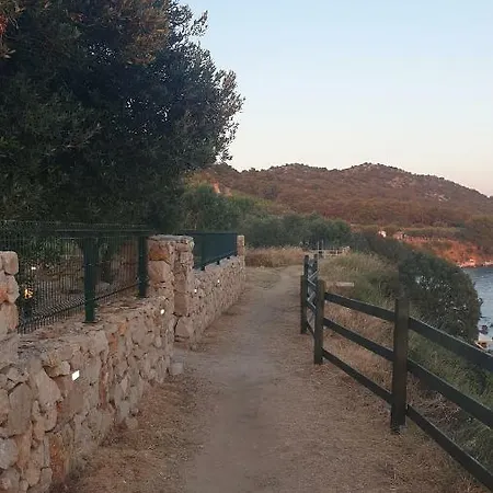 Camp Maslina Pakoštane