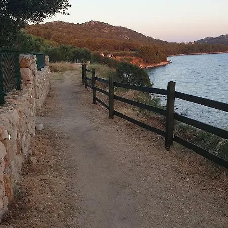 Kamp alanı Camp Maslina